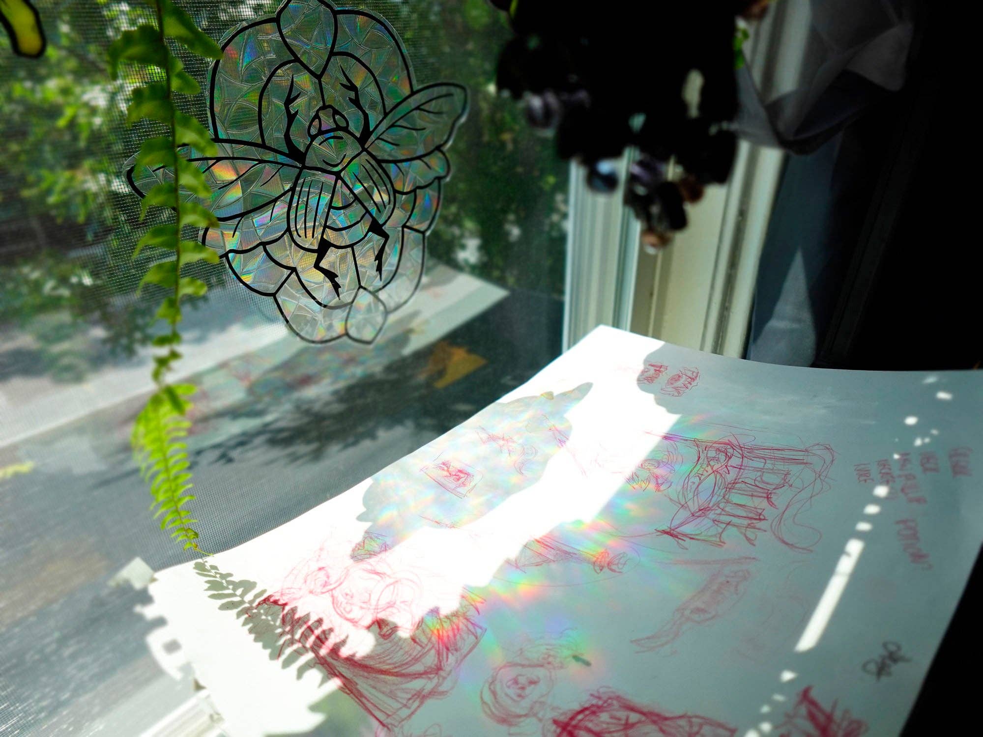 Tia Kinsman - Wholesale Suncatcher - Party Raccoon Rainbow Window Cling3