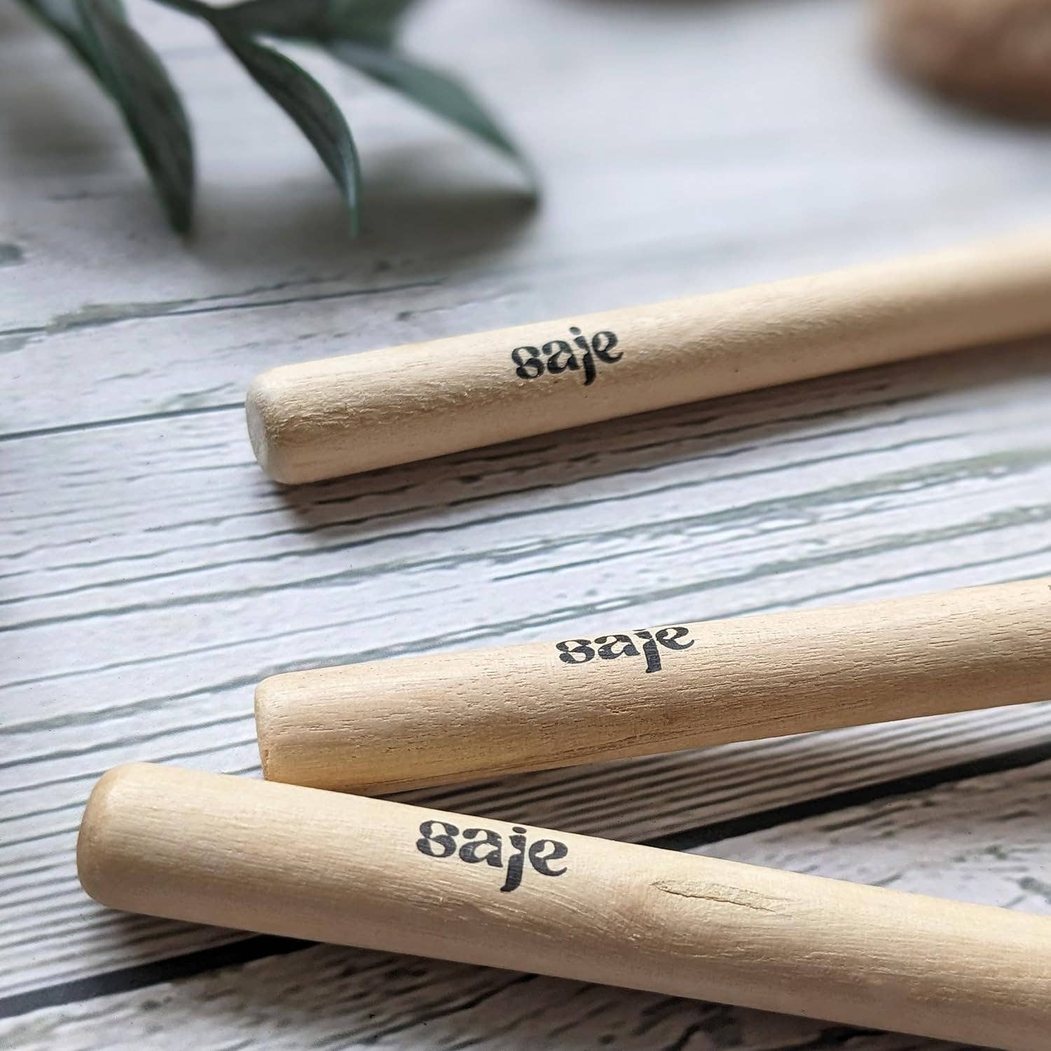 Robert Frederick Ltd – wholesale Trädgårdsverktyg – Saje Växtvårdskit - Bladdammsvantar och Miniverktyg - Håll Inomhusväxter Friska8