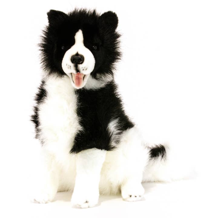 FurTastic Friends by Bocchetta Plush Toys - Wholesale Pet Plush Toy - Dog - Tommy - Border Collie Stuffed/Plush Toy, Size 35cm/14"