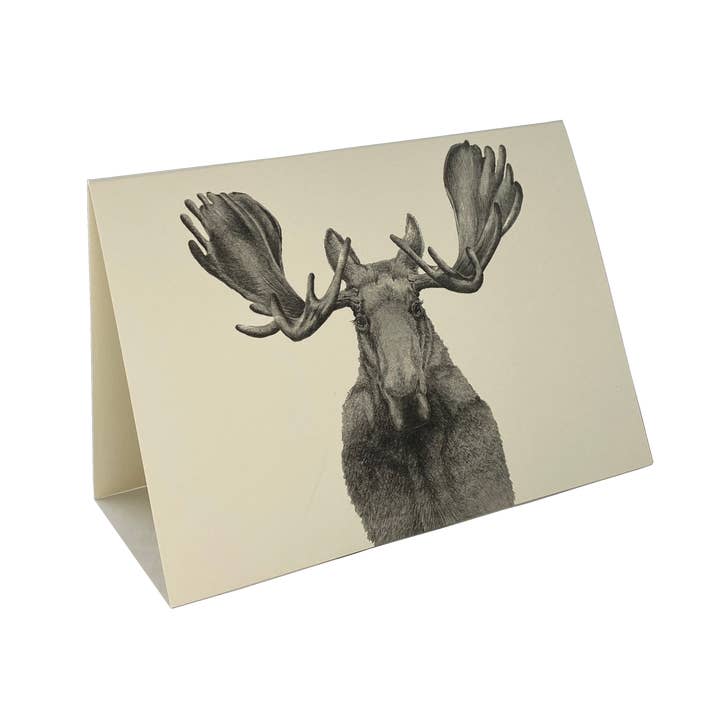 Moose Cards for wholesale by Whitney Wares