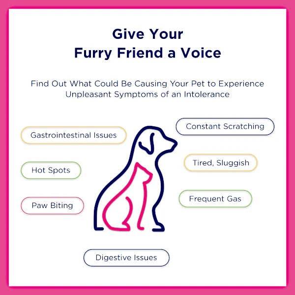 Raw Dog Barkery - Wholesale Pet Food - Dog - Ucari At-Home Pet Intolerance Test Kit
