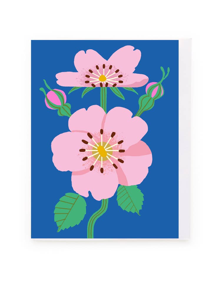 Pink roses on blue blank greeting card for wholesale by Noi Publishing