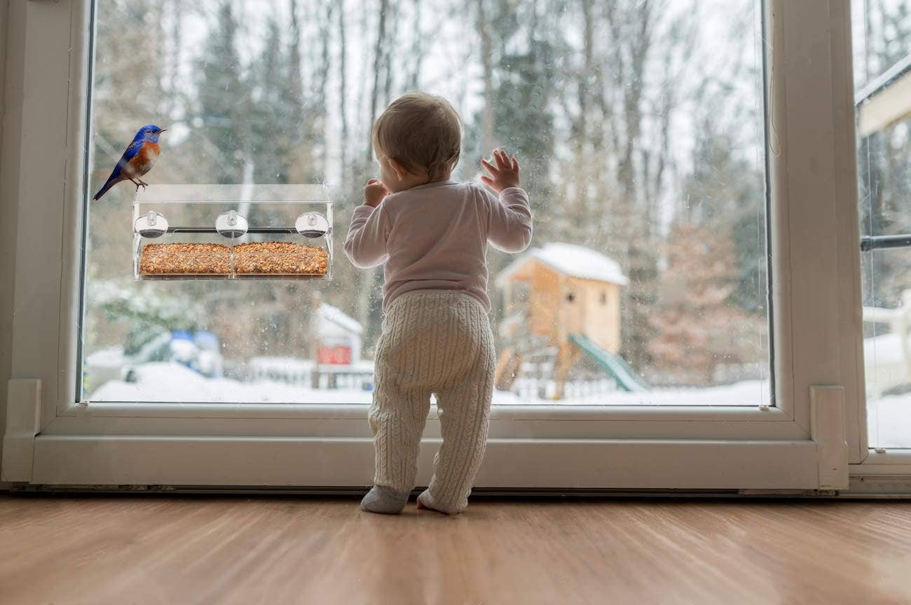 Ashman Online - Wholesale Throw Pillow Cover - Ashman Deluxe Window Bird Feeder, Spacious Design, Easy to Install, Clean and Fill, Great Gift for Friends and Family5