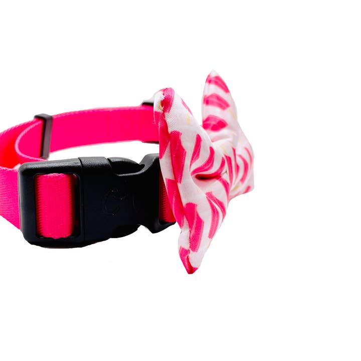 Cutie Ties - Wholesale Pet Bow Tie - Dog - Ice Pops Pattern Dog Bow Tie1