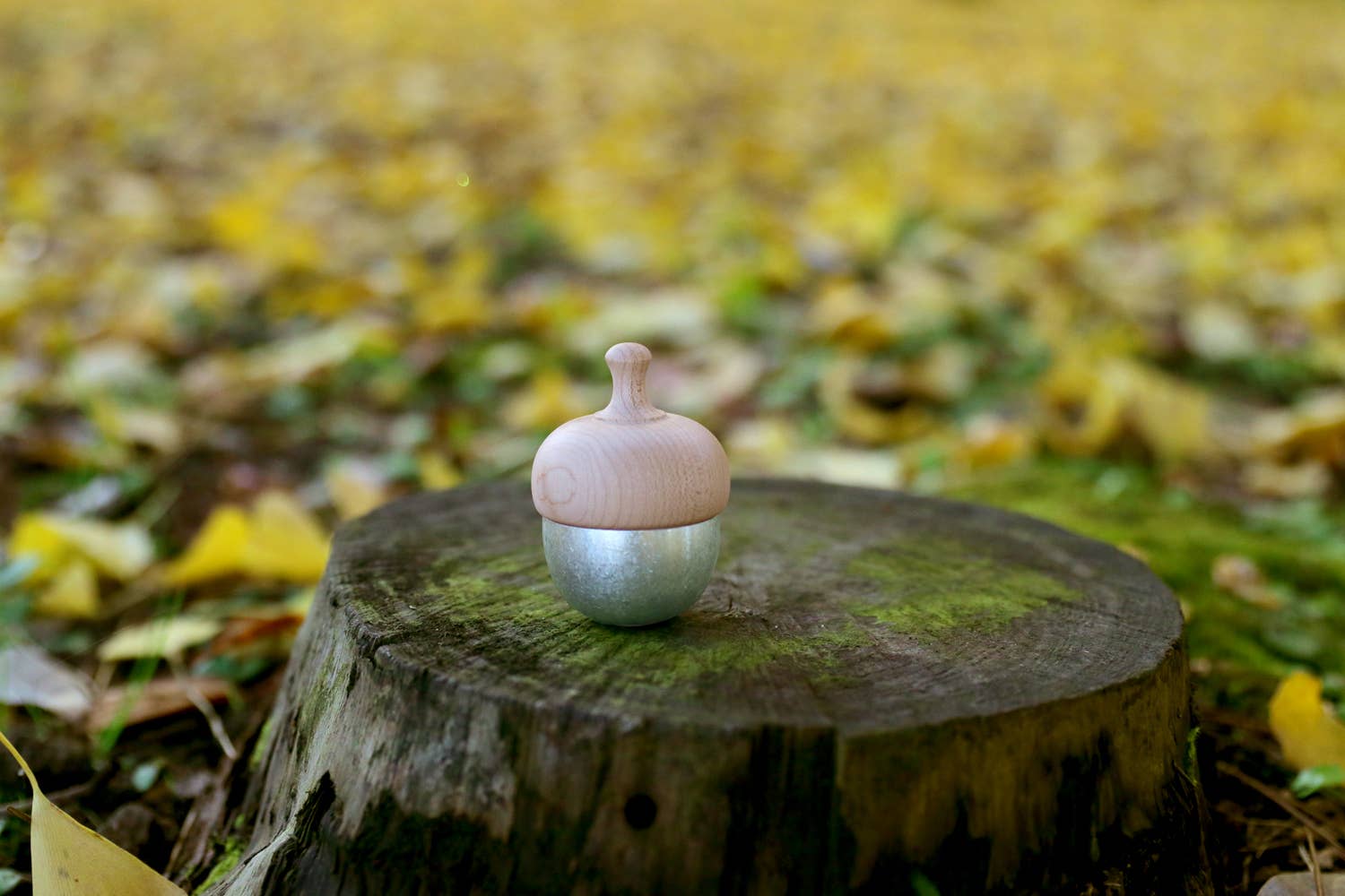 Japacolle — Japan Collections | See Latest News in "About" - Wholesale Bell - KSN Madoka Dongurin6