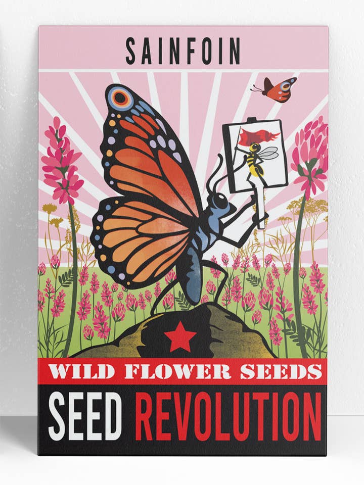 Sainfoin Wildflower Seeds – Pollinator Meadow Legume for wholesale by Seed Revolution