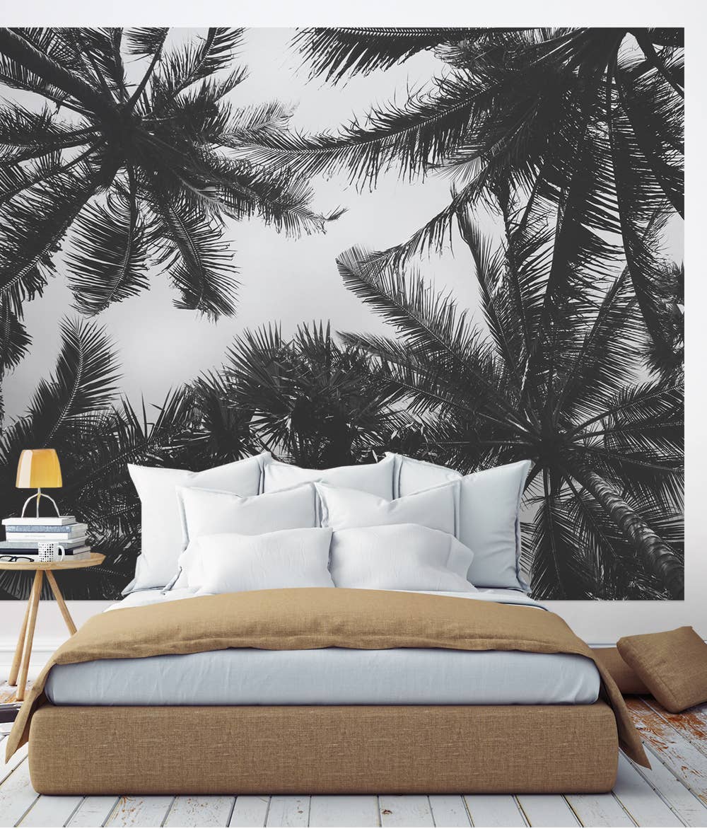 Simple Shapes – wholesale Wallpaper – Palm Tree Photograph Wall Art0