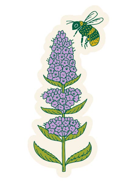 Herb + Pollinator Sticker - Anise Hyssop & Bumble Bee for wholesale by Among the Oaks Herb Farm