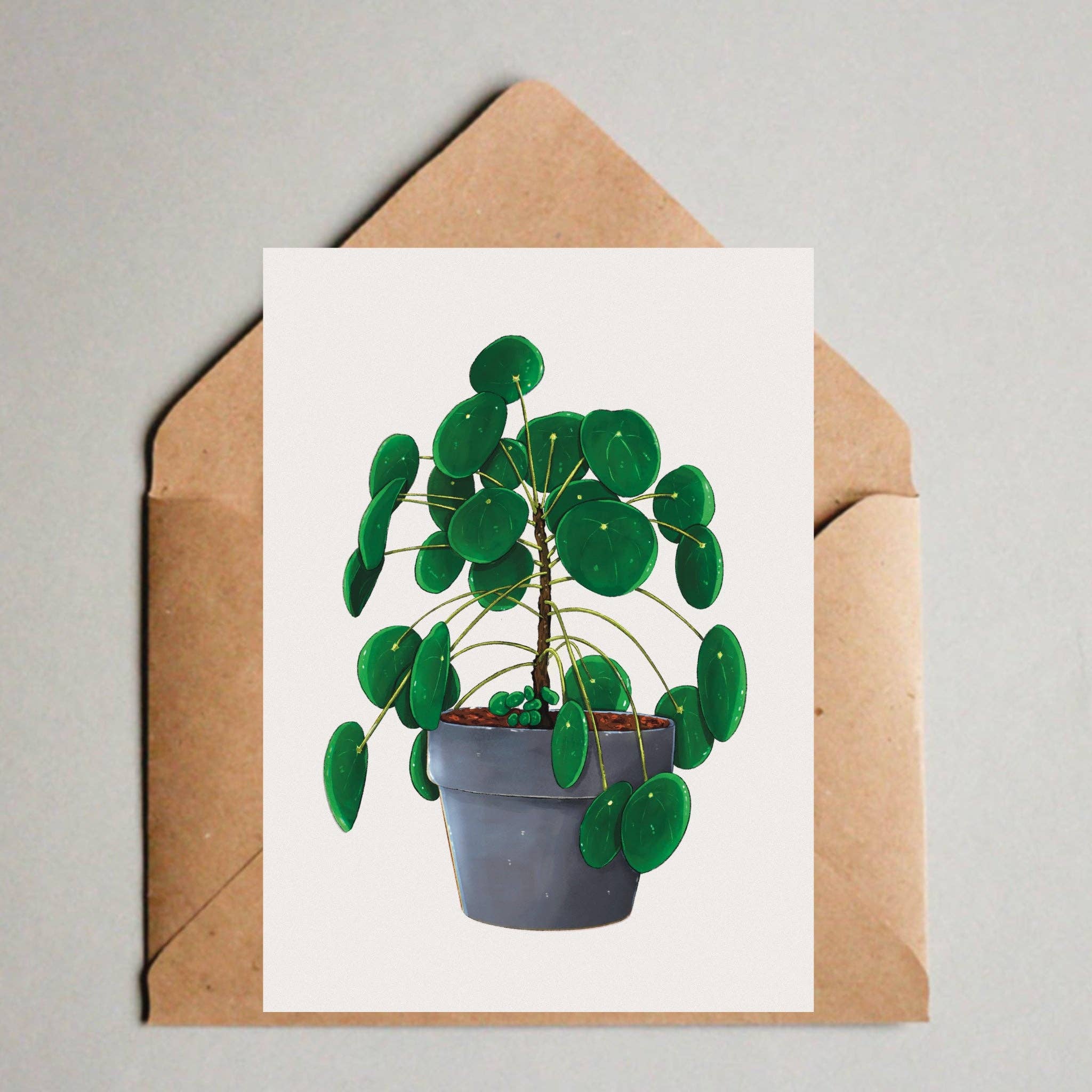 plantyintroverts - Vendita all'ingrosso Cartoline - Cartolina/stampa A6 - Pilea Peperomioides in vaso0