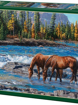 On The Rocks 1000 Piece Jigsaw Puzzle + Poster for wholesale by Cheatwell Games