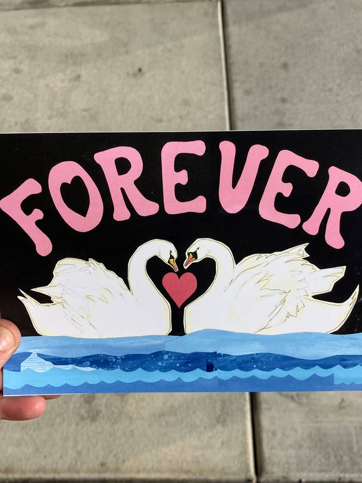 Evige Svaner Kort for engroshandel hos Sunde White Industries