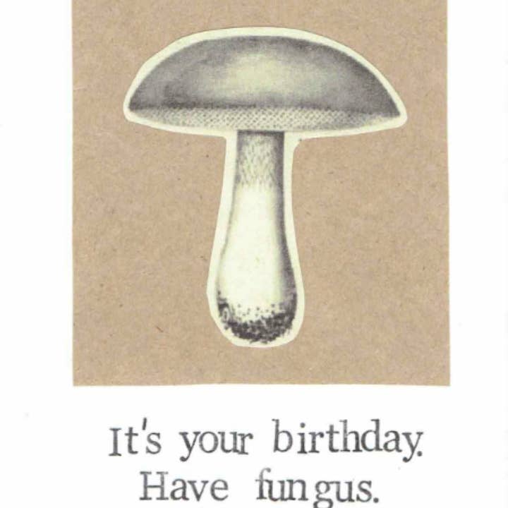 BlueSpecsStudio - Wholesale Birthday Card - It's Your Birthday Have Fungus Card | Funny Mushroom Science Pun Nature Humor