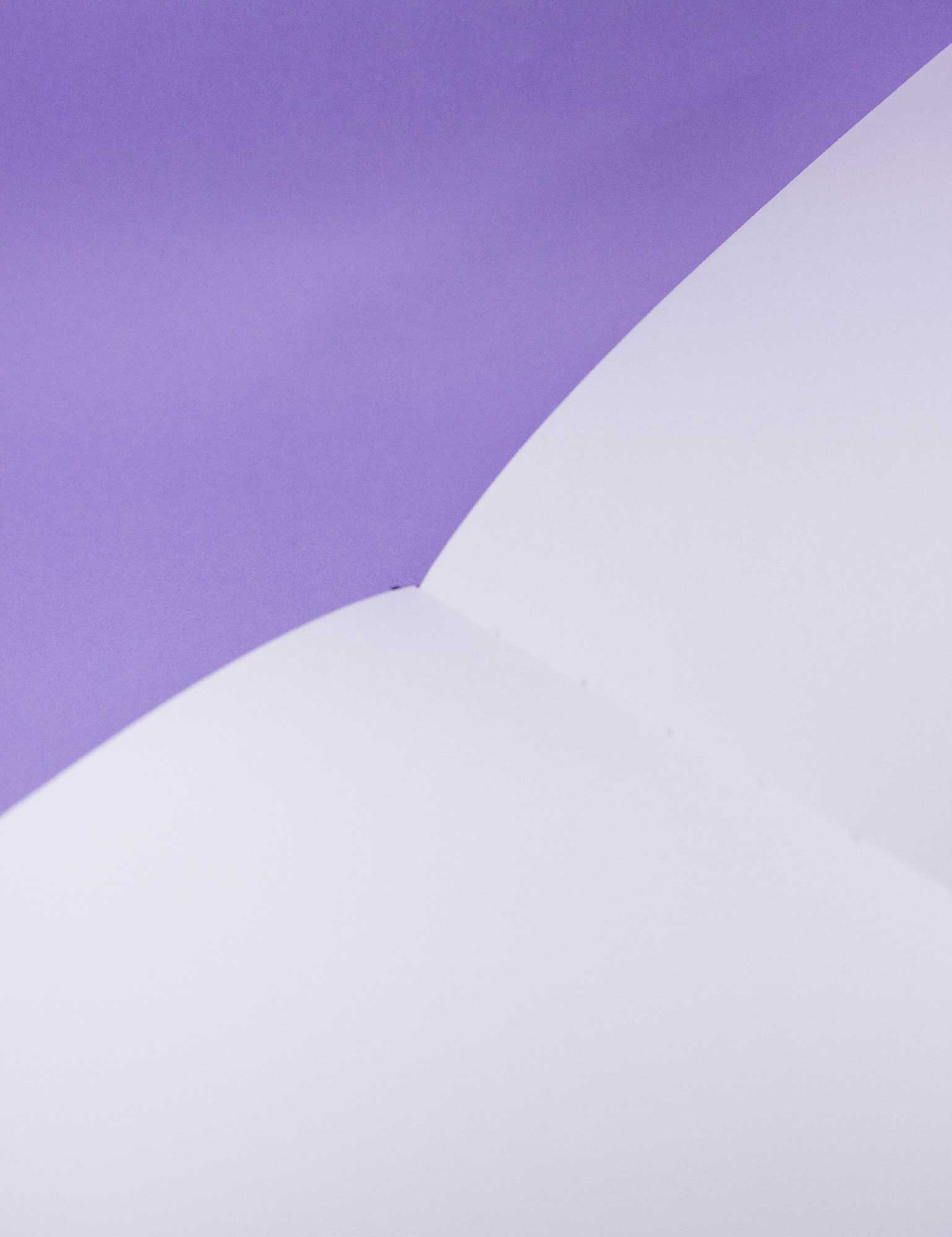 Joanna Behar - Wholesale Journal/Diary - ✦ 1000 Magical herbs & fungi Journal ✦8