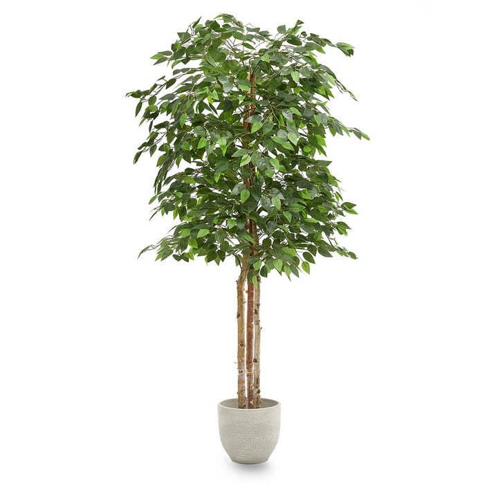 Maia Shop - Wholesale Artificial Plant - 6' Artificial Ficus Tree 1