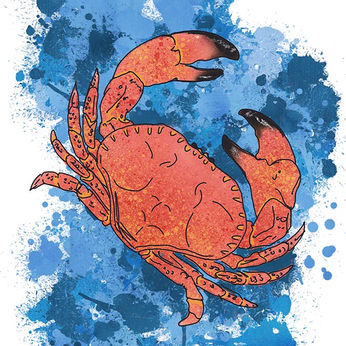 Stone Crab Expressionism Fin Art Billede på lærred for engroshandel hos William DePaula Fine Art