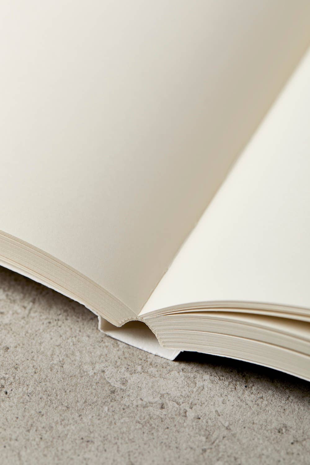 Katie Leamon - Vente Cahiers - Carnet à plat L&L Wild Aster 300 pages blanches1