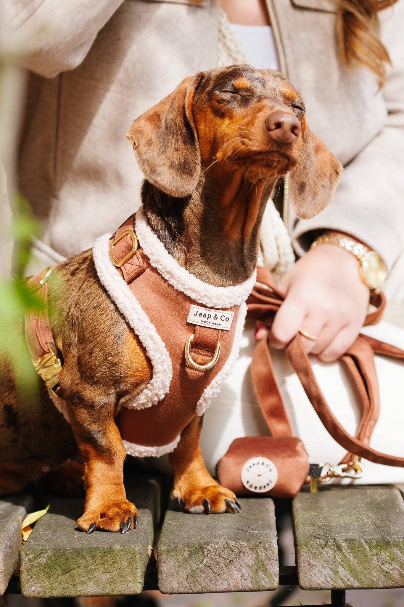 Jaap & Co - Woof Wear - Wholesale Pet Leash - Dog - Soft Season - Dog Leash - PRE-ORDER4