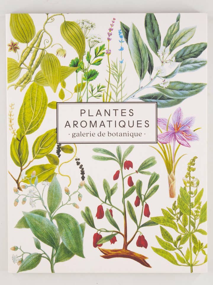 Notebook "Aromatic Plants" for wholesale by Les Jolies Planches