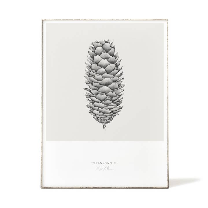 Impressions artistiques 30 x 40 - Pomme de pin pour la vente par Emmeselle