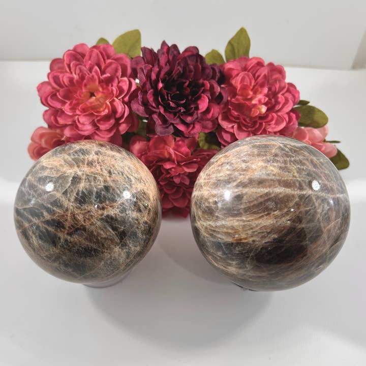 Quasar Gems USA - Wholesale Spiritual Stone/Crystal - Black Moonstone Spheres1