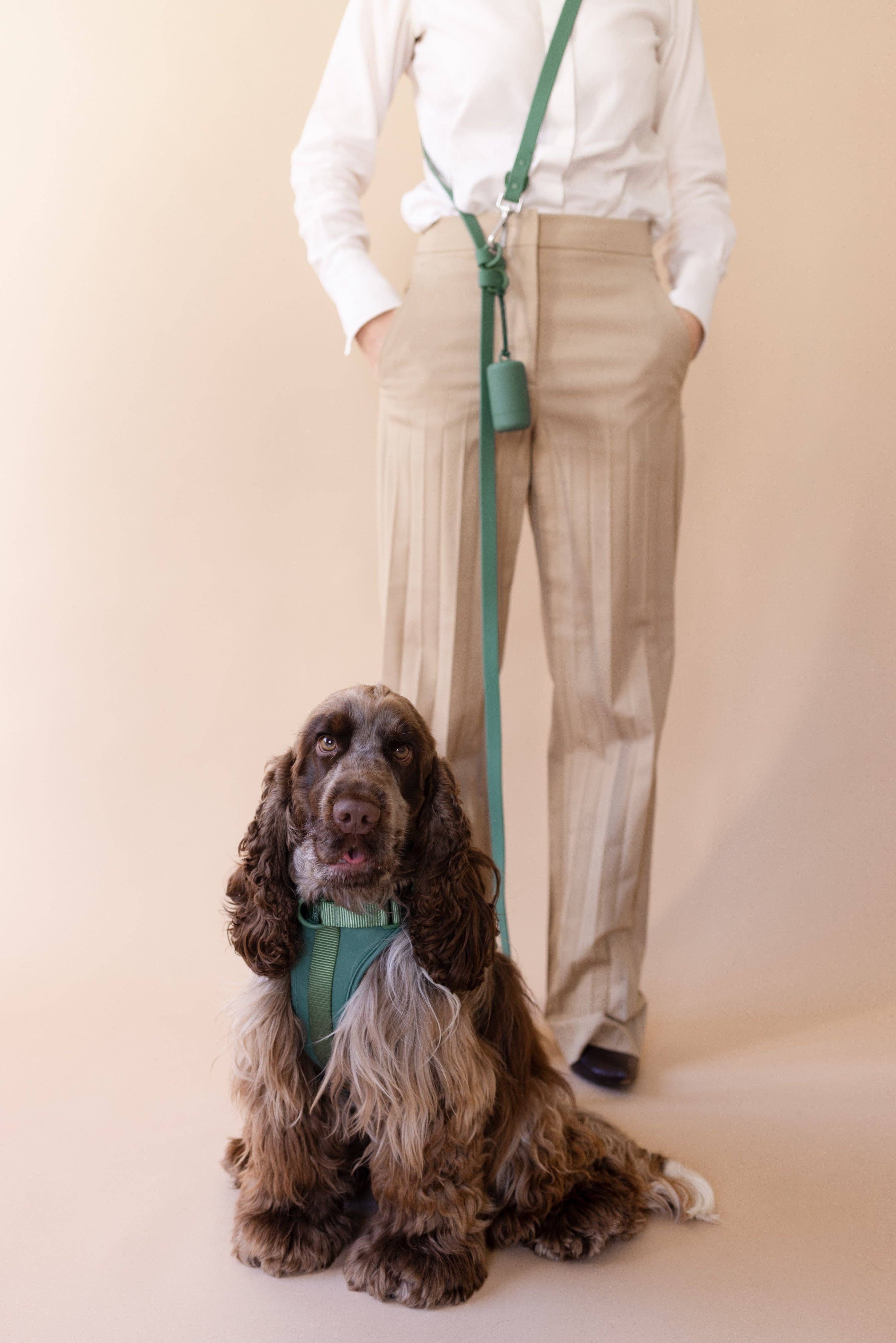 PRILTON - Wholesale Pet Leash - Dog - Hands free - Green