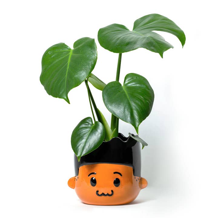 Zuri & Dre - Wholesale Plant Pot - Ceramic Boy Head Planter for 5-inch Pot (Dre Doll)0