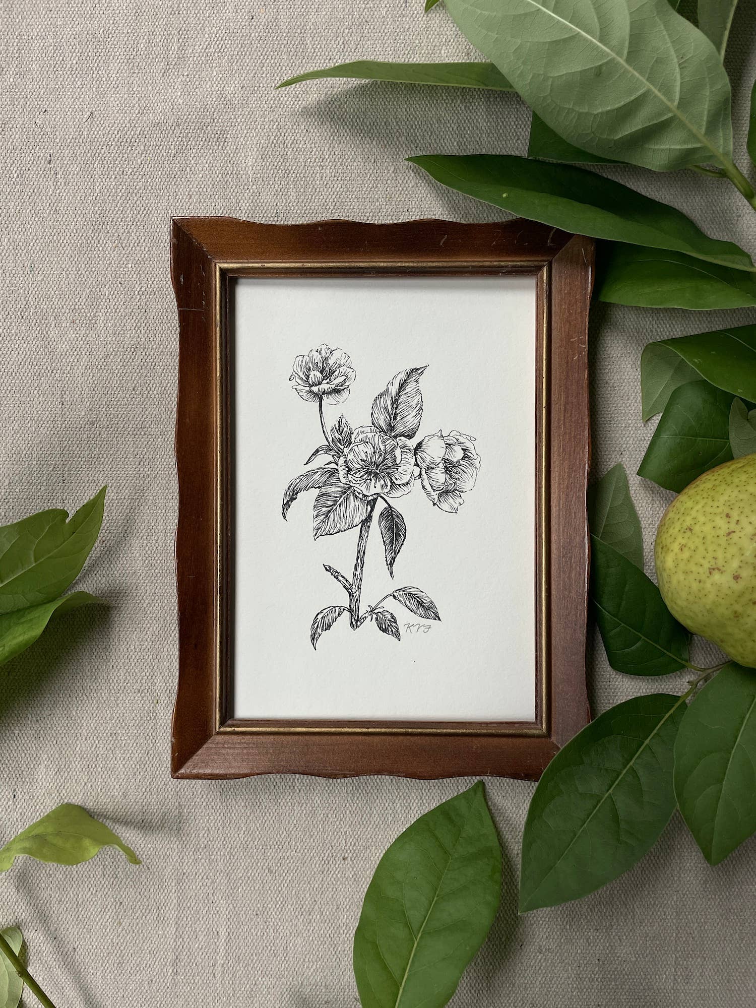 Kara Valentino Ffield Art - Wholesale Art Print - Pear Blossoms | Art Print