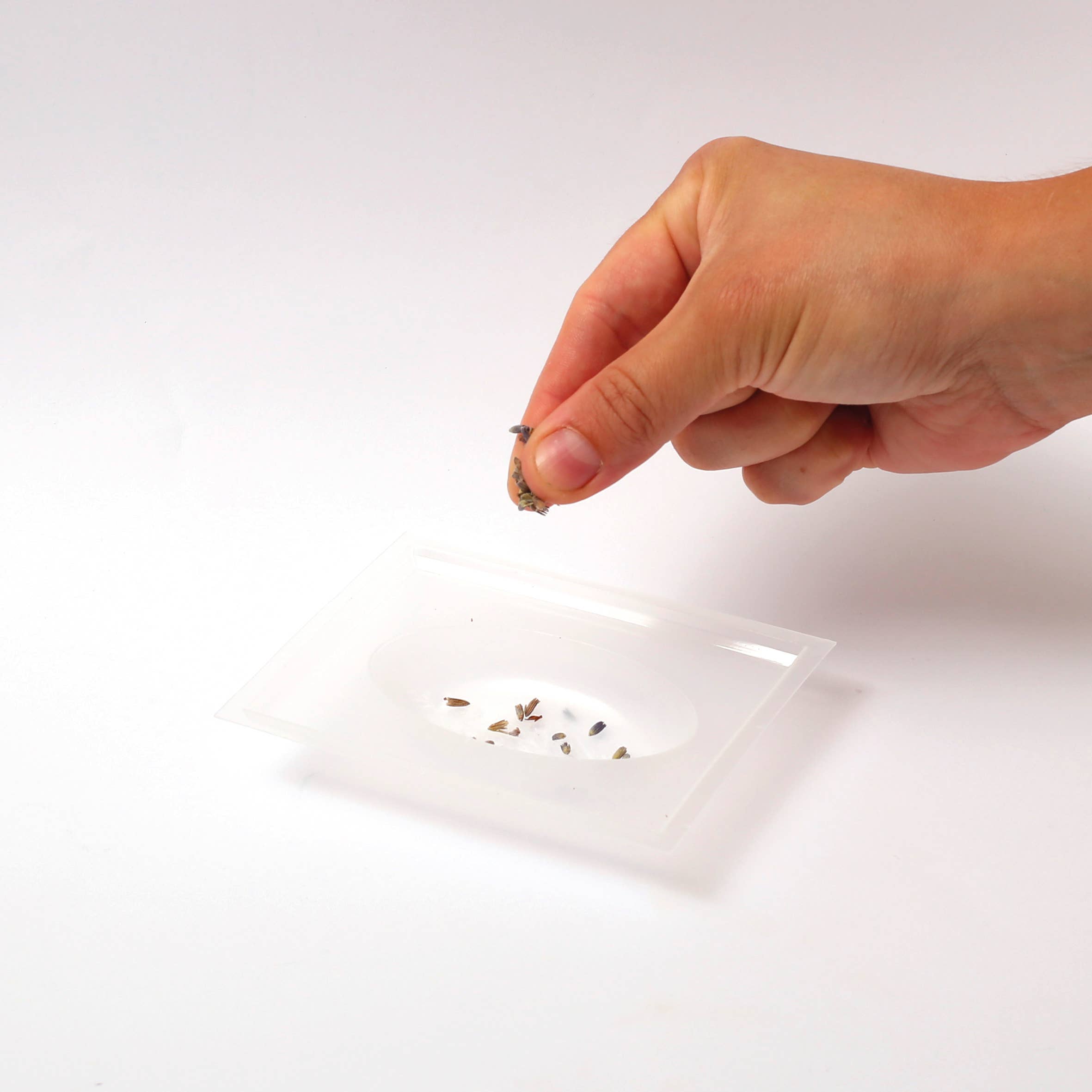 Graine Créative - Wholesale Knitting/Crochet Supplies - LAVENDER SOAP DIY KIT 196 x 144 x 45 mm9