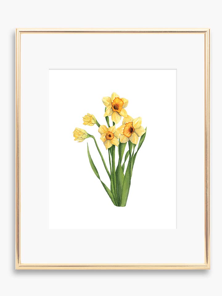 Daffodil Art Print for wholesale by Tara Feather Designs
