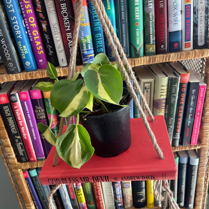I Love Books and Bows - Wholesale Hanging Planter - Bookish Bloom Shelf Planter3