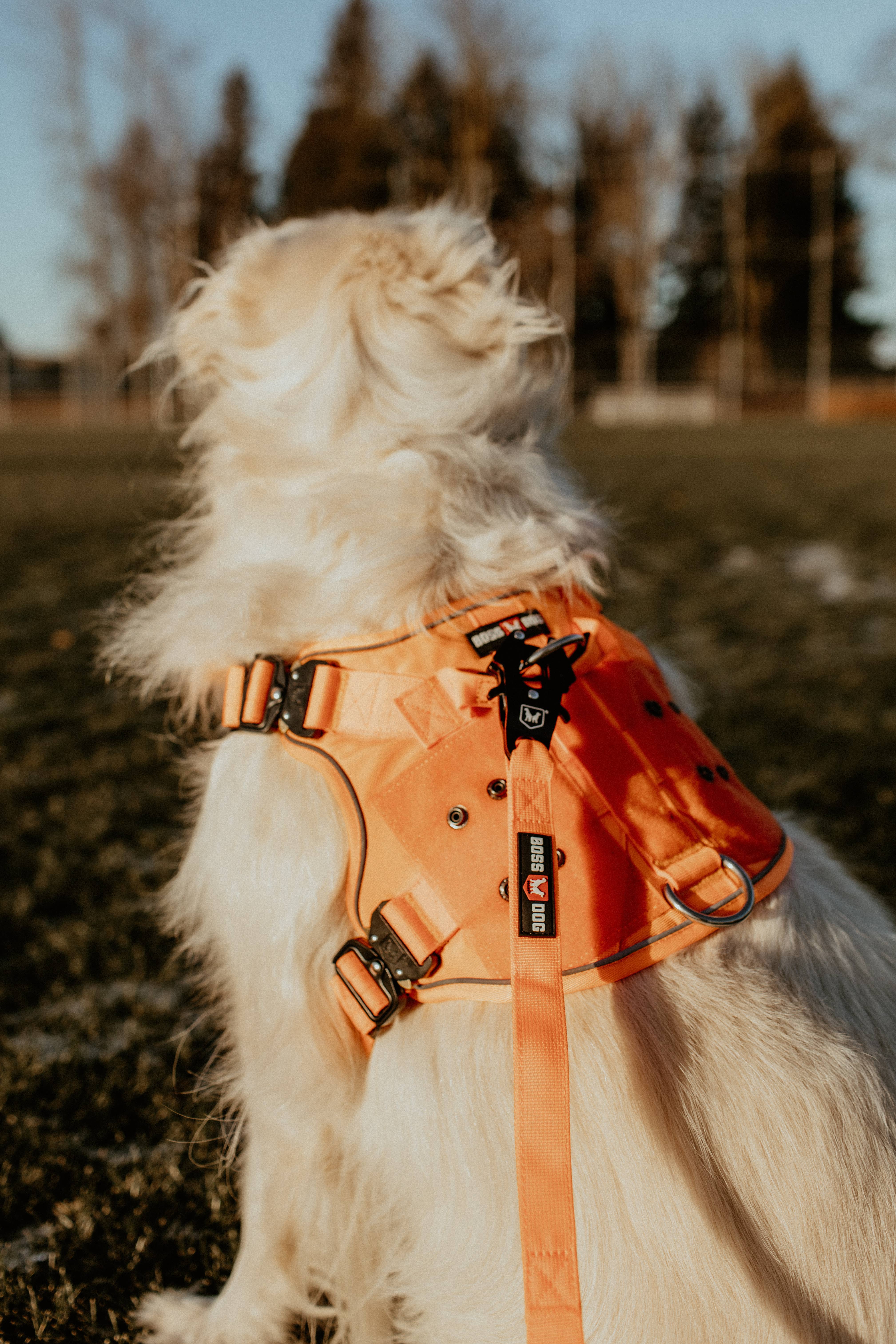 BOSS DOG BRAND, INC. - Wholesale Pet Harness - Dog - Boss Dog Harness54
