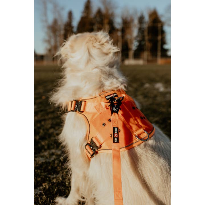 BOSS DOG BRAND, INC. - Wholesale Pet Harness - Dog - Boss Dog Harness54