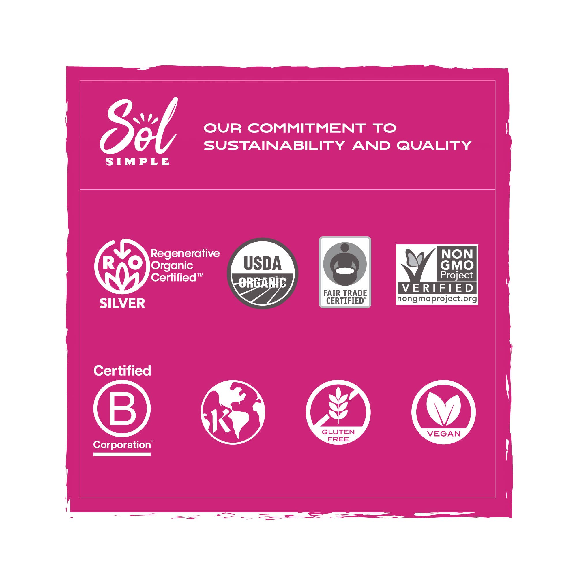 Sol Simple – wholesale Dried/dehydrated fruit – Regenerative Organic Certified Solar Dried Mango - 6oz8