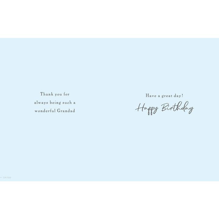 Piccadilly Greetings – wholesale Birthday card – Birthday Card, Grandad, Veg Patch1