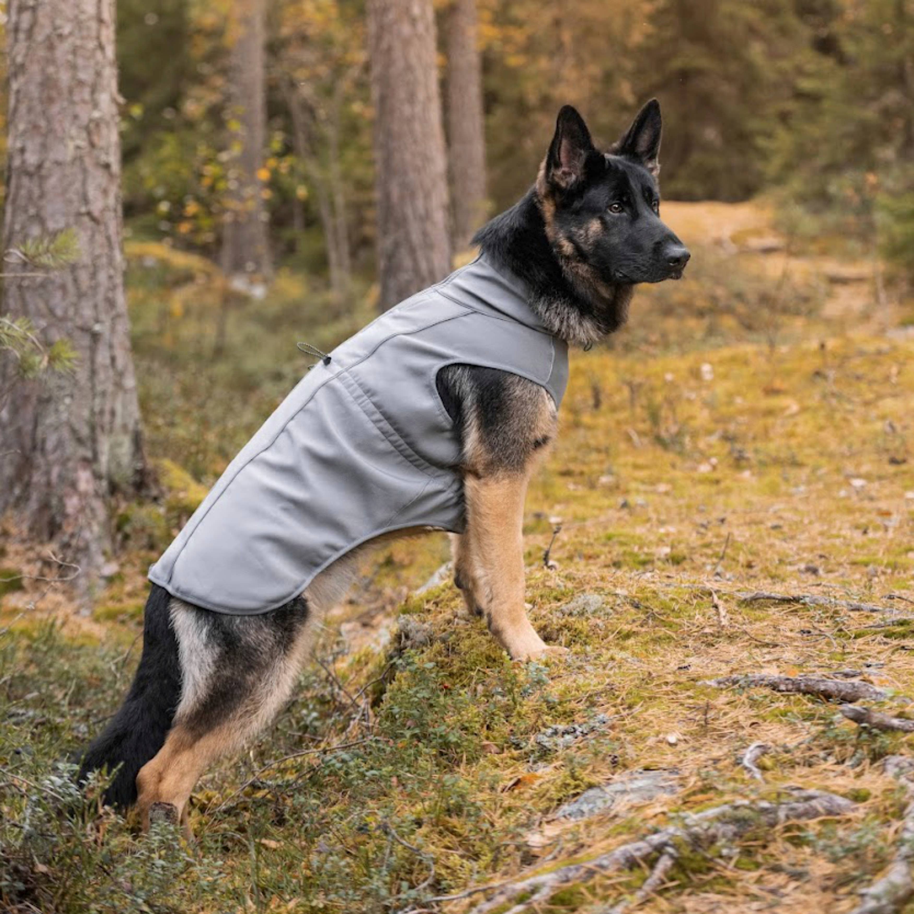 FINNERO - Wholesale Pet Jacket - Dog - UPGRADED MODEL! FINNERO SPORT Softshell Jacket for dogs7