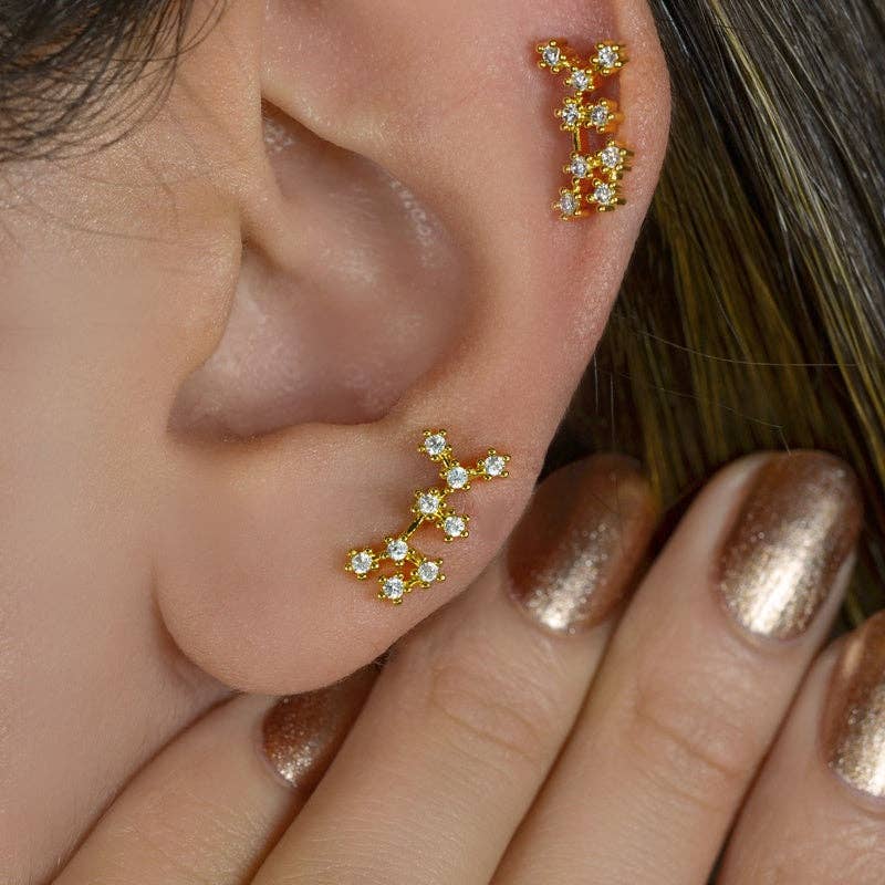 StockJWL - Wholesale Stud/Post Earrings - 12 Zodiac Earrings, Constellation Stud Earring Stud Piercing Tragus Helix Lobe and Cartilage Silver And Gold51