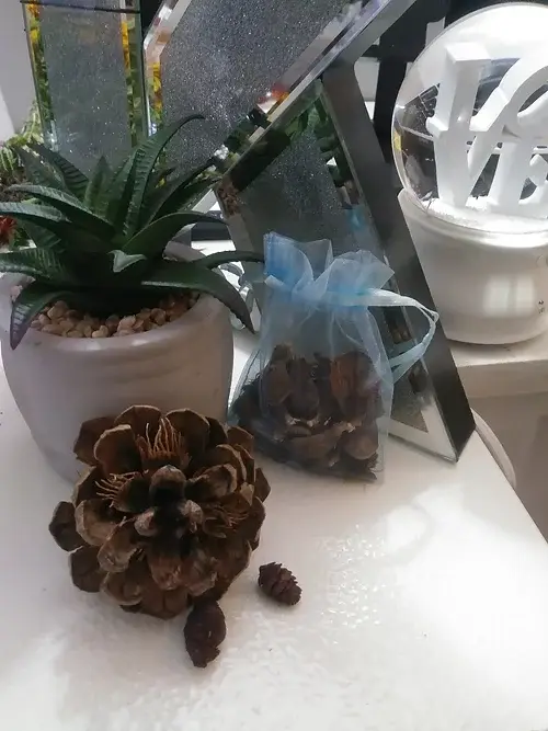 KING'S - Wholesale Sachet - Essential Sachets for Drawers & Closets0