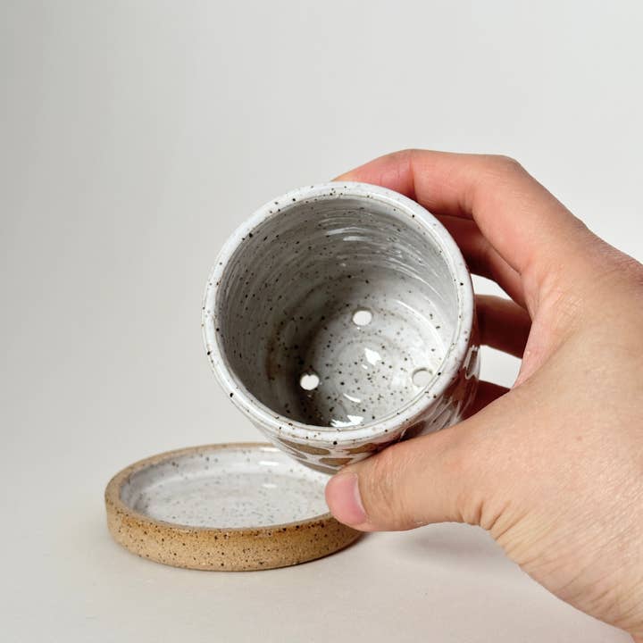 Annie’s Potteries - Venta al por mayor Macetas - Maceta Celestial con Plato de Drenaje6