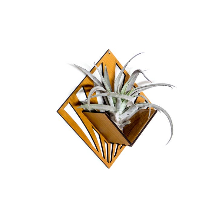 LIGHT RAZOR DESIGN STUDIO - Wholesale Wall planter - Air Plant Holder / Quadrate Wall Hanging Planter 257