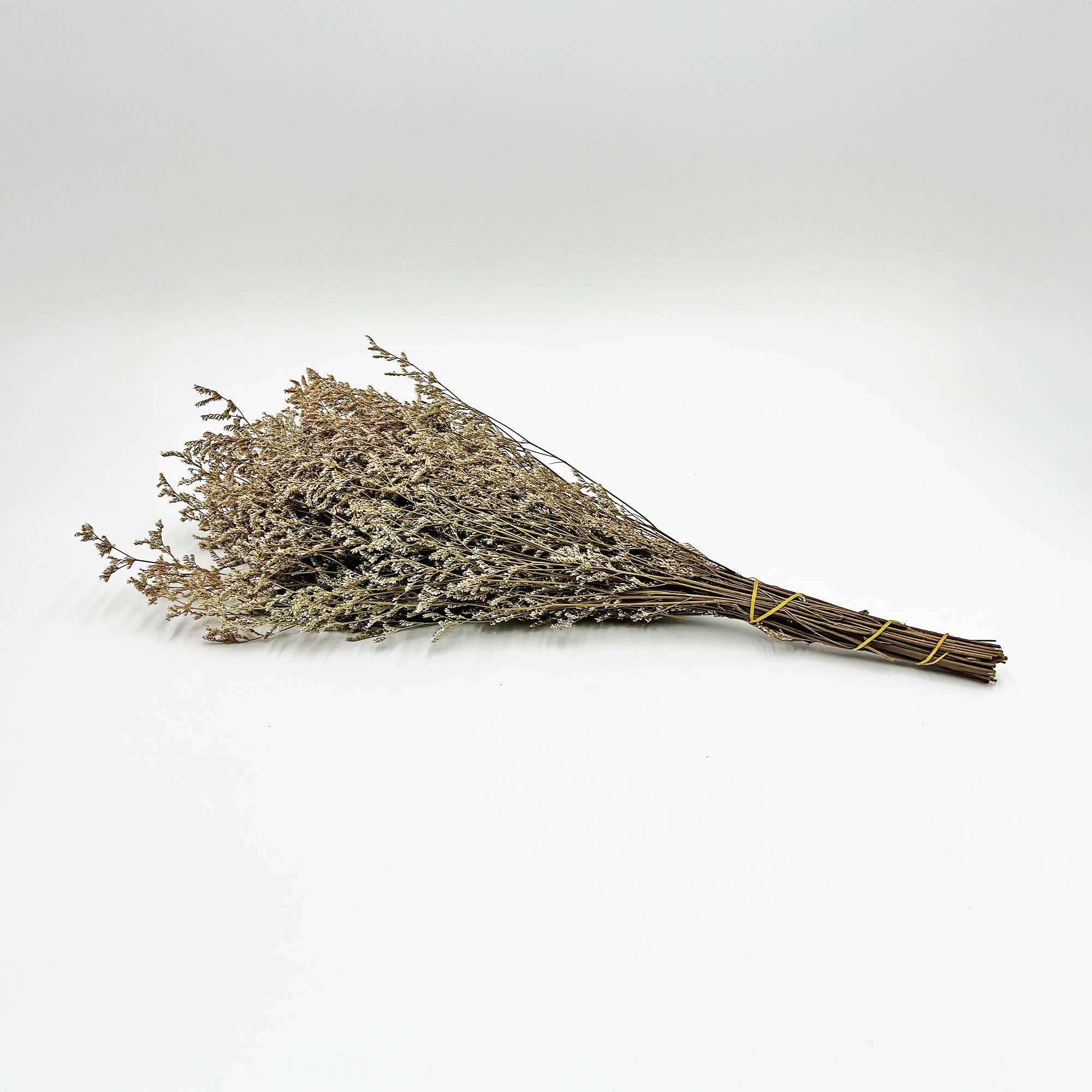 2626 Designs - Wholesale Dried/Pressed Flowers - Dried Preserved Valentin Grass Bouquet 21" Multiple Colors22