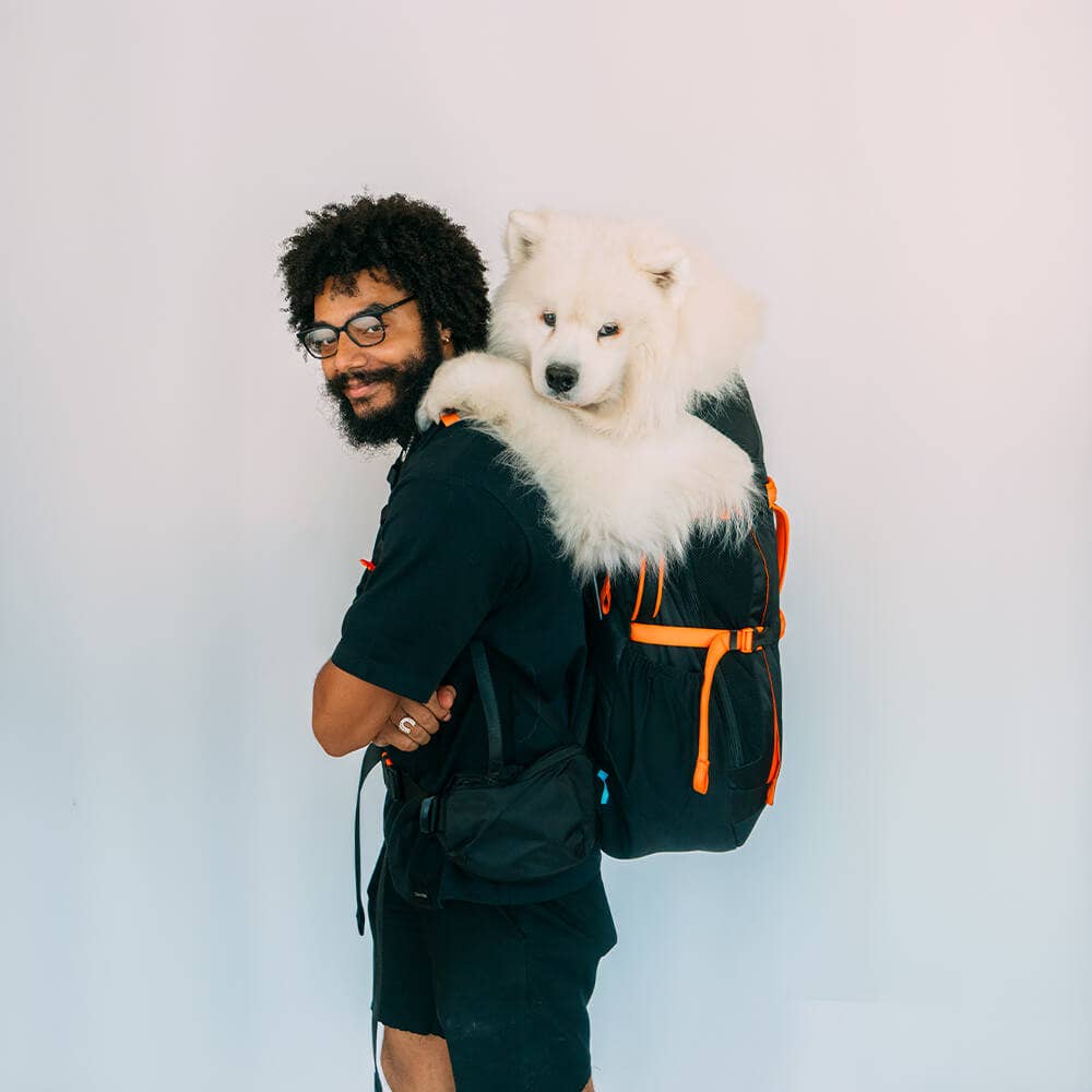 Negro Mochila Brodie One Big Dog de venta al por mayor en Faire9