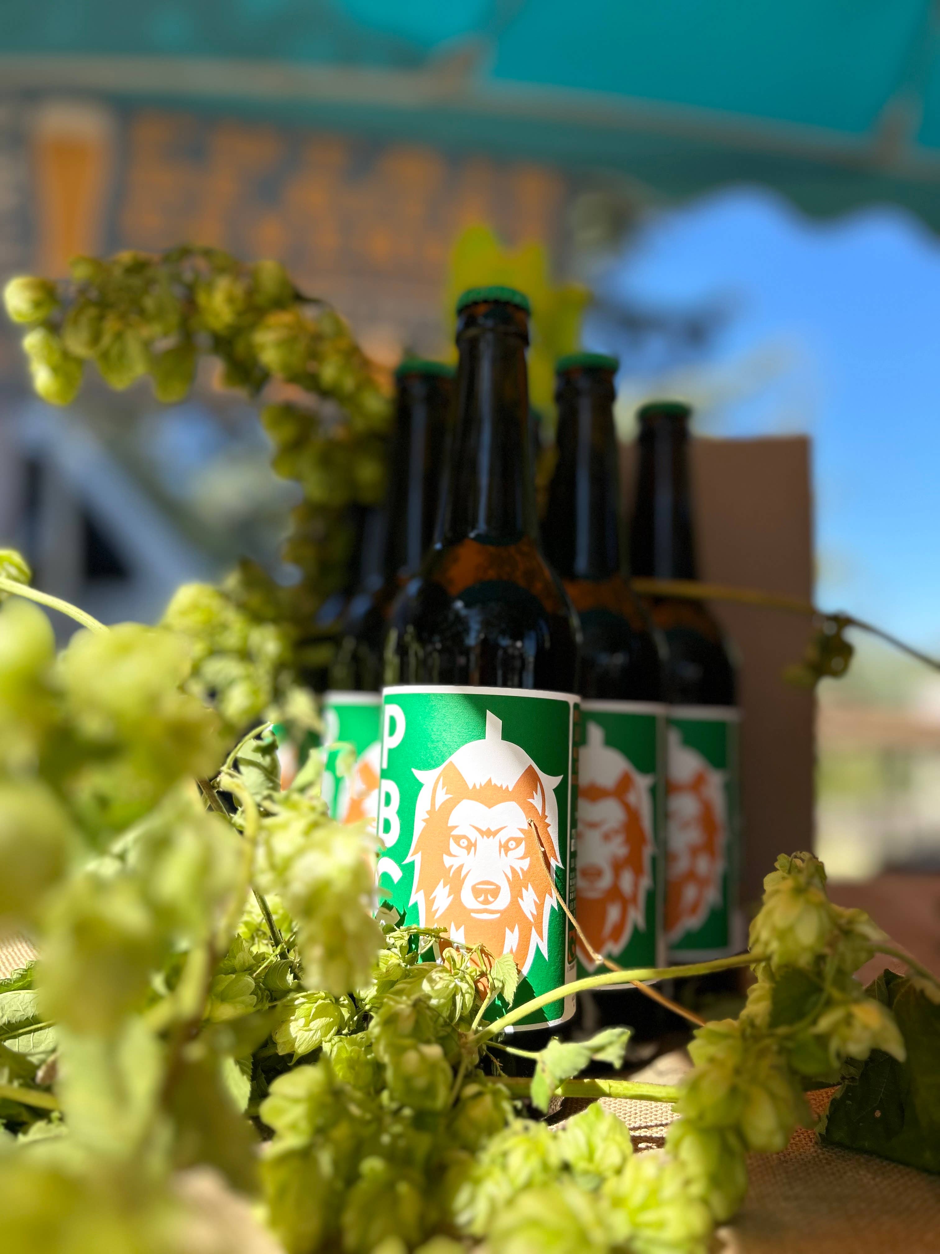 PBC Brasserie cévenole - Wholesale Beer - L'Hou Solitaire Single Hop Blonde 50 Cl Bottle3