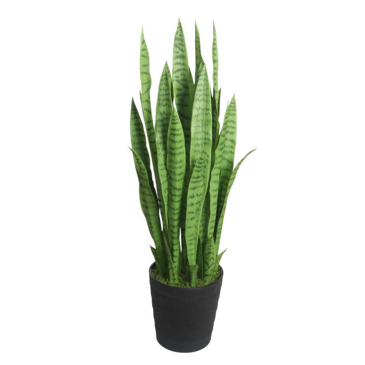 PTG107 Snake Plant Green 3' PK 1 for wholesale by Myrians Home Decor