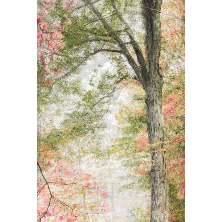 Pastel Tree Art: Vertical Pink and Green Nature Print for wholesale by Brooke T Ryan Photographic Art