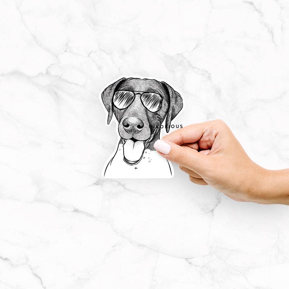 Inkopious - Vente Autocollant - Autocollant Rémi le pointeur allemand à poil court1