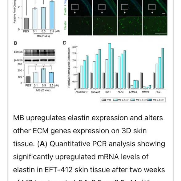 Aloe Tallow - Vendita all'ingrosso Sieri/creme concentrate per il viso - Siero Riparatore per la Pelle al Blu di Metilene e Sebo4