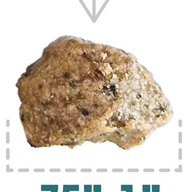 Lamb, Blackberry & Kelp Recipe Soft & Chewy Bites for Dogs for wholesale by Icelandic+