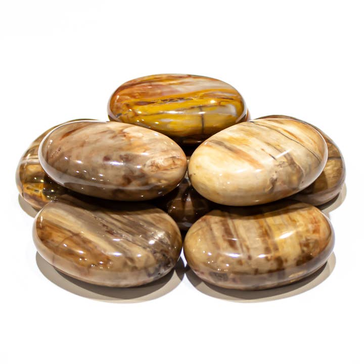 Quasar Gems USA - Wholesale Spiritual Stone/Crystal - Petrified Wood Pillows1