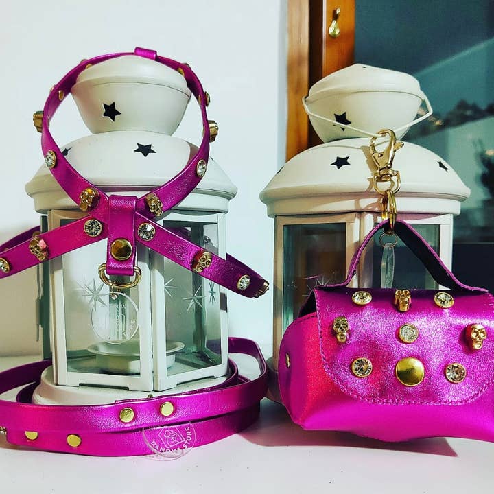 Dandy’s Store - Wholesale Pet Harness - Dog - Dog Harness Set | Genuine Tuscan Leather| Dandy's Store