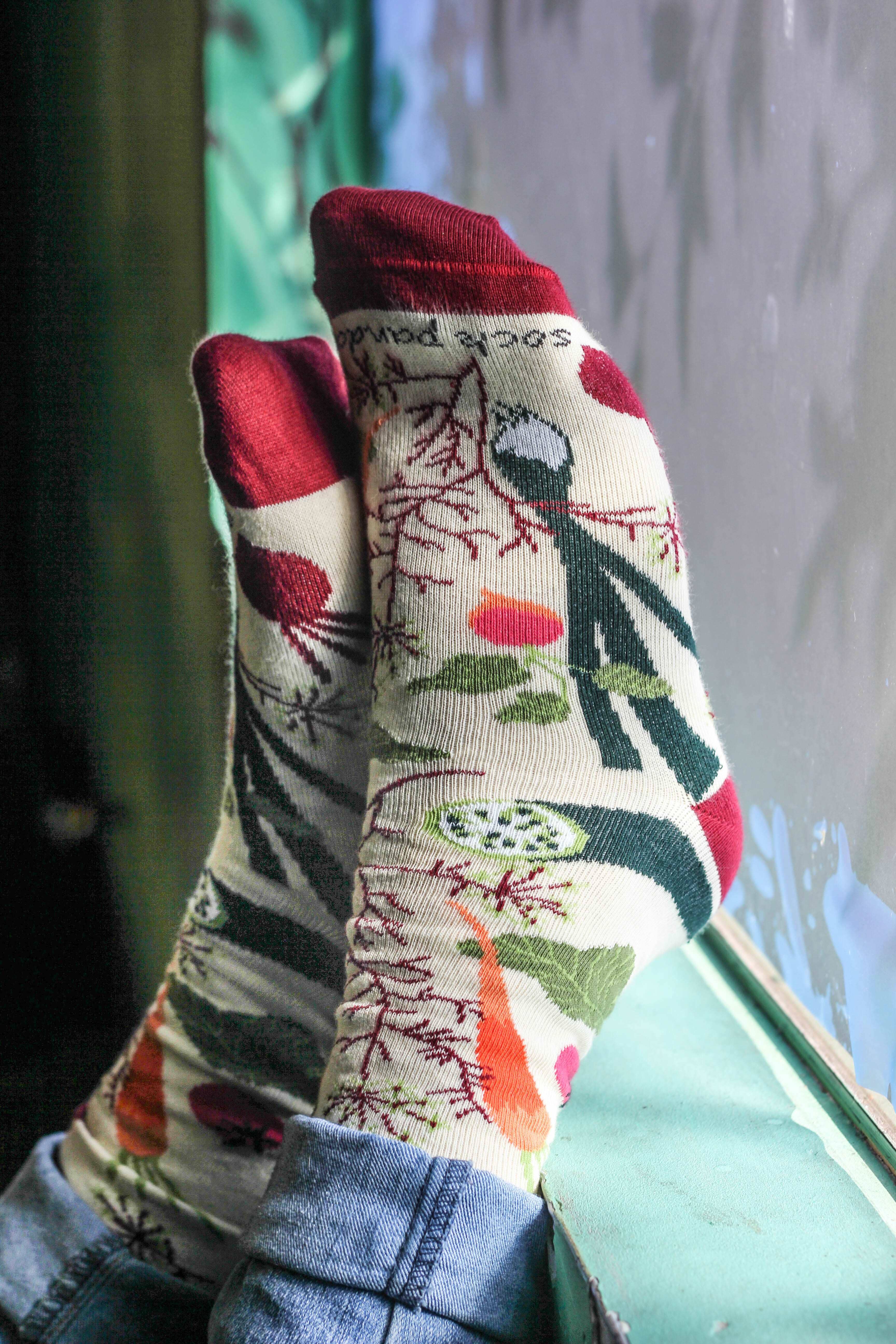 Sock Panda - Wholesale Socks - Women's - Fall Vegetable and Fruit Socks (Adult Medium) - Sock Panda1